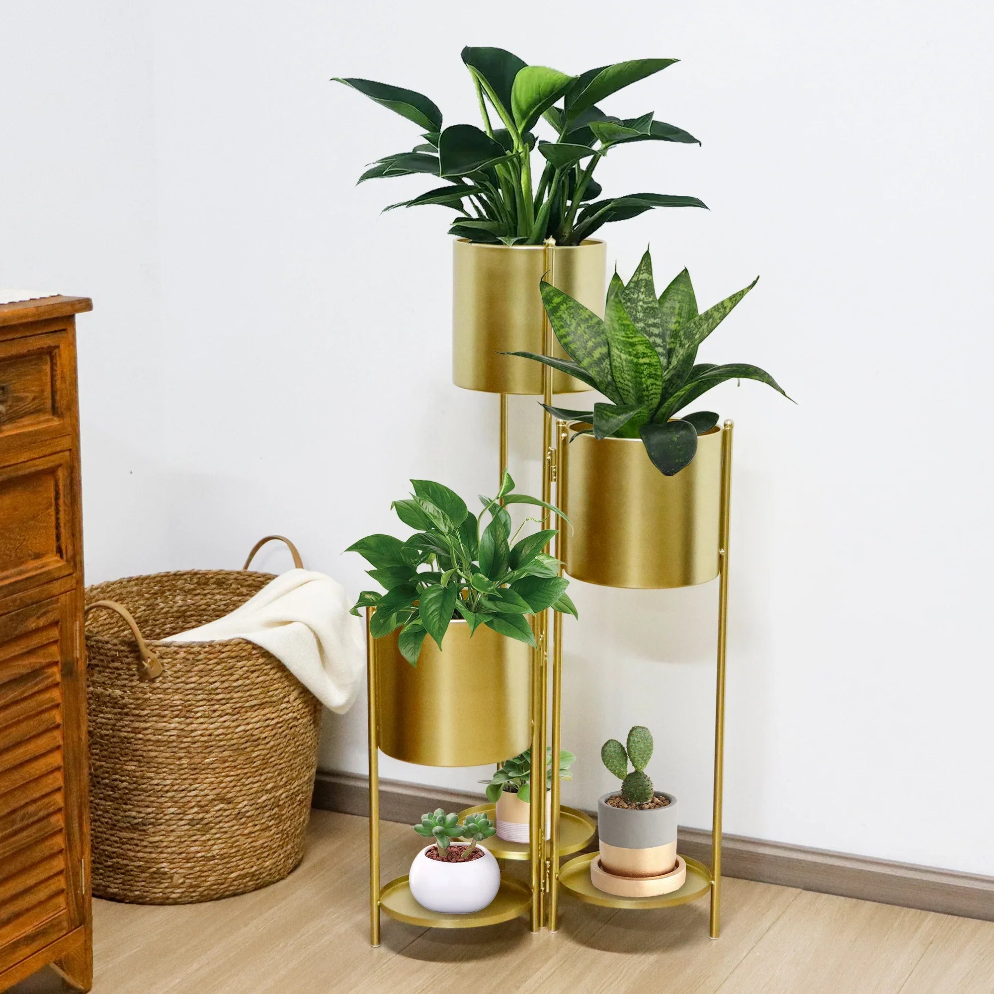 plants pots indoor