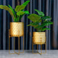 2 Set of 17&12 " Tall  Planters With Stand (Gold)