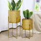 2 Set of 17&12 " Tall  Planters With Stand (Gold)
