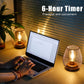 Set of 2 Metal Cage LED Battery Powered Lamp