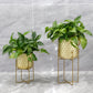 12"&18"H Golden Honeycomb Embossed Flowerpots(Set of 2)