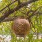accent lamps-33
