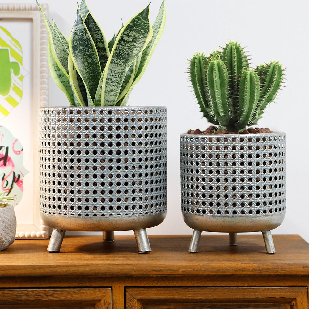 indoor flower pot-8