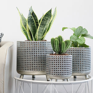 indoor flower pot-9