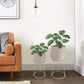 plant pot indoor-2