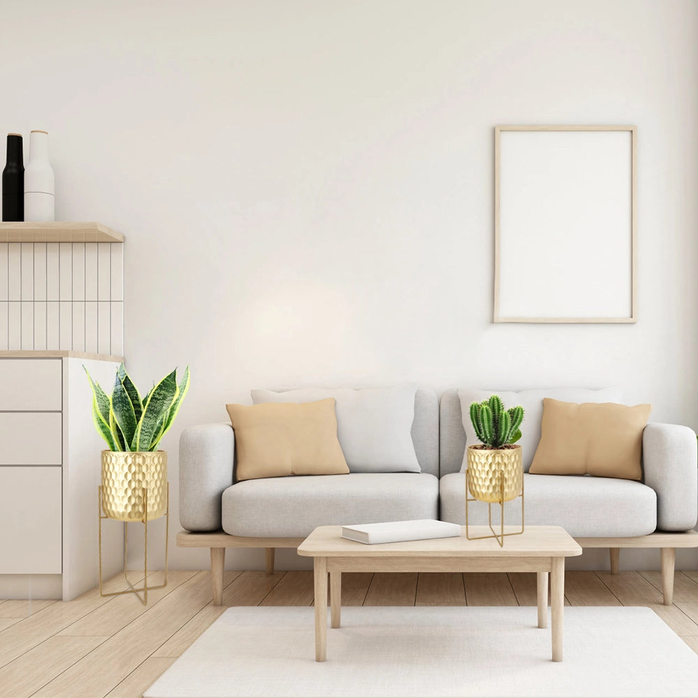 plant pots indoor-4