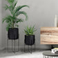 plant vase indoor-2
