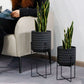 plant vase indoor-3