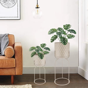 plant vase indoor-9