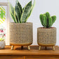 standing planter-79