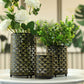 candle holder set